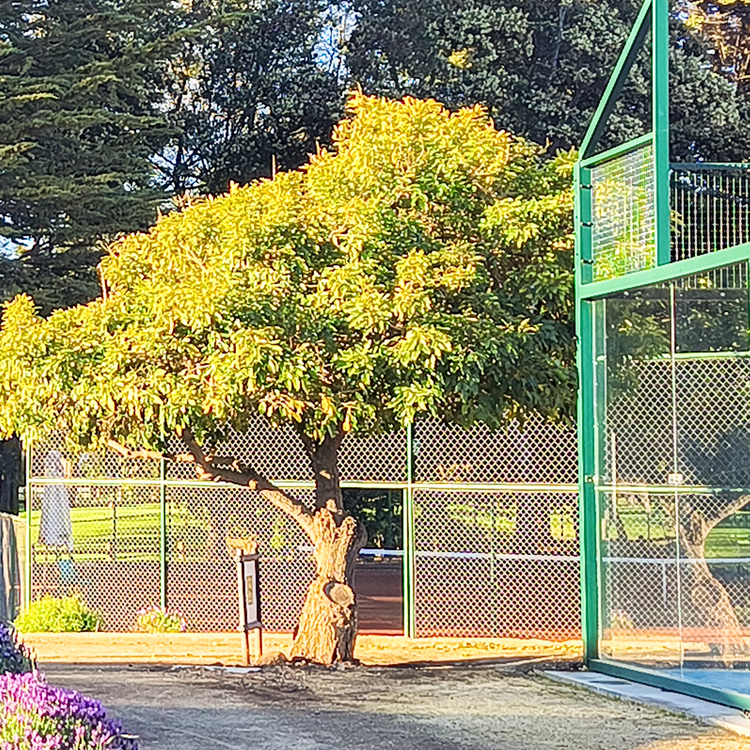 06 IMG_20250909_183135